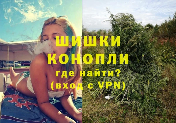mdpv Бородино