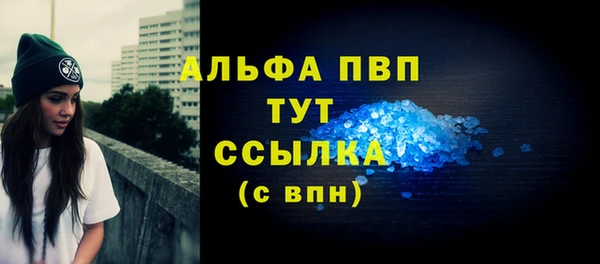 mdpv Бородино