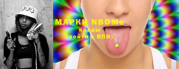 индика Бугульма
