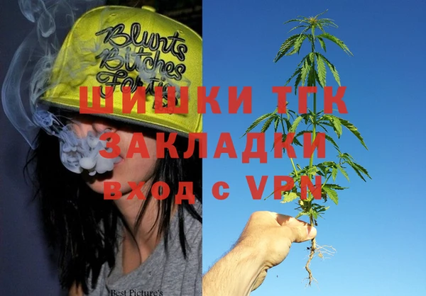 индика Бугульма