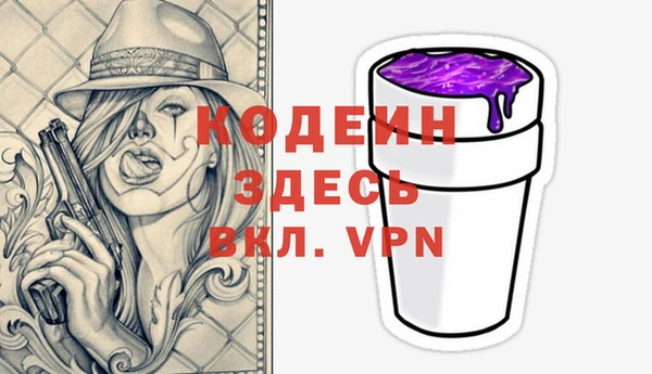 mdpv Бородино