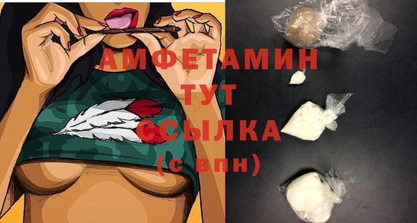 индика Бугульма