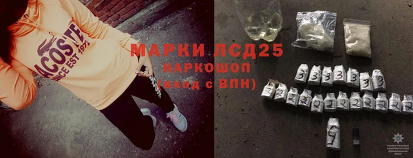 индика Бугульма