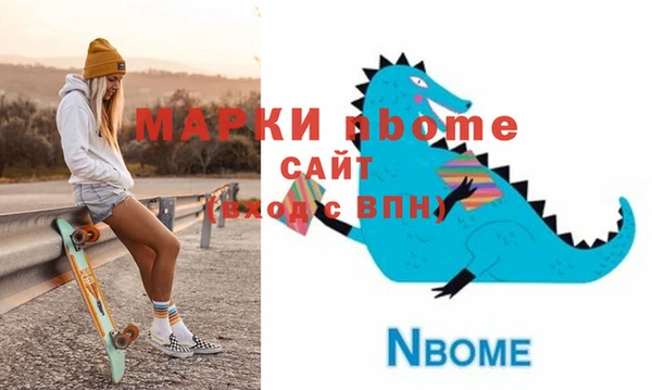 индика Бугульма