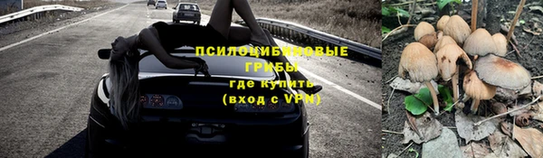 а пвп мука Бронницы
