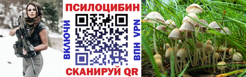 цены наркотик  Саранск  Галлюциногенные грибы MAGIC MUSHROOMS 
