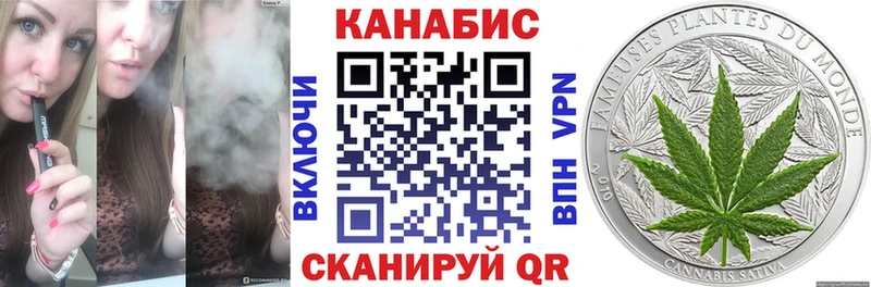 Конопля гибрид  Саранск 